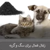 زغال فعال برای سگ و گربه